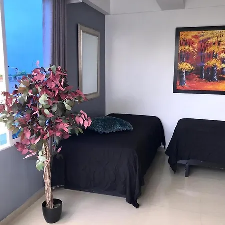 Apartamento Nuevo Y Acogedor