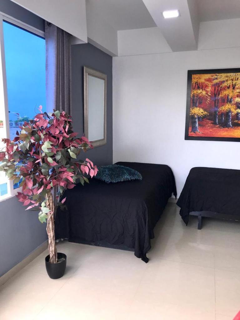 Apartamento Nuevo Y Acogedor